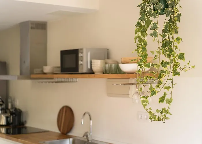 Tamarindo Sunset Apartament Corralejo